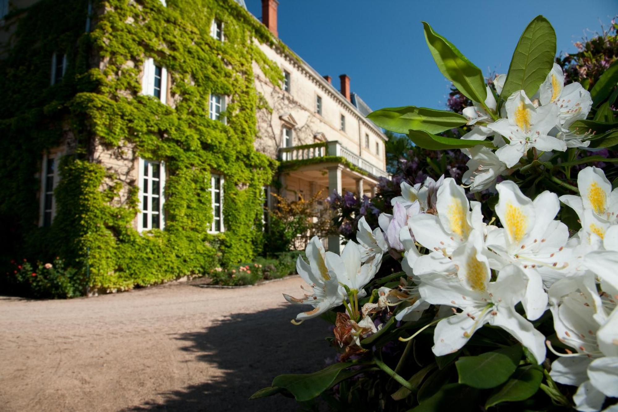 Chateau De Bellevue B&B Villié-Morgon Exterior foto