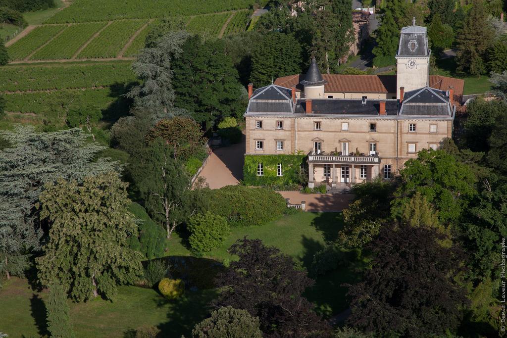 Chateau De Bellevue B&B Villié-Morgon Exterior foto