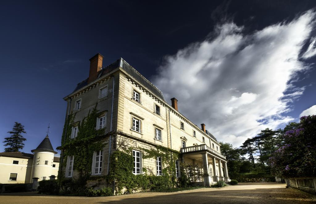 Chateau De Bellevue B&B Villié-Morgon Exterior foto